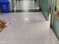 -宠颐生中康贝怡动物医院