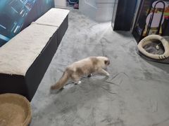 -零纪元VR体验馆·桌游(黄浦店)