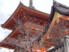 -名古屋城