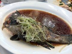 中青斑-稻香酒家·33年老字号·港式粤菜(富邦中心店)