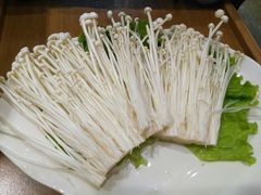 -水煮青春老火锅(君瑞城店)