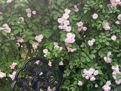 -熊喵来了火锅(长安万达第94分店)