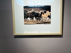 -石家庄正定国际机场-T2航站楼