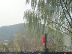 -慢丽江·云南野生菌土鸡锅(西山店)