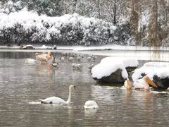 -西安秦岭野生动物园