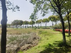 -漕湖湿地公园