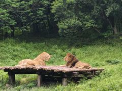 -宁波野生动物园