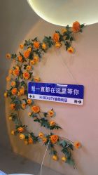 -Hi Beauty Skin 科技美肤中心