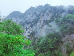 -青峰峡国家森林公园