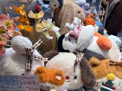 -猫的天空之城概念书店(苏州平江店)