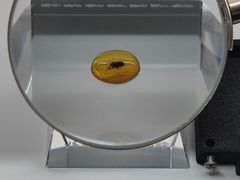 -抚顺煤矿博物馆