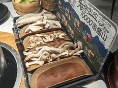 -芸山季·云南山珍菌火锅(南翔印象城MEGA店)