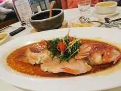 东星斑清蒸东星斑-维园悦谱·海派家常菜(乌鲁木齐南路店)