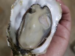 -海之蓝农家海鲜饭店