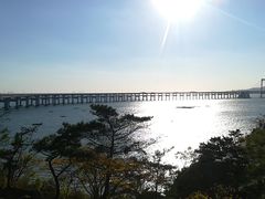 -星海湾跨海大桥