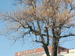 -呼家楼(地铁站)