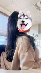 -ODIN 奥丁形象设计 