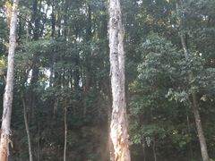 -福清灵石山国家森林公园