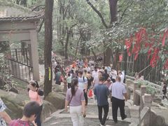 -灵岩山风景区