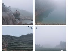 -军营村