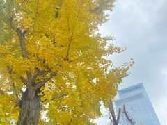 -两江幸福广场