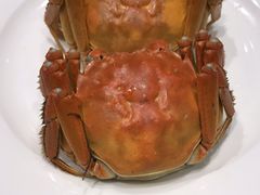 -王宝和酒家(黄浦店)
