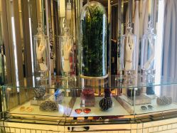 -TADASHI SHOJI(中国旗舰店)