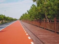 -日照海滨国家森林公园