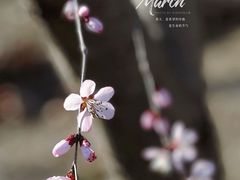 -瀛海足球主题公园