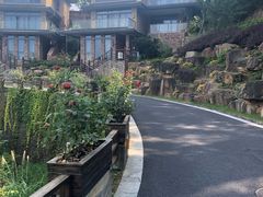 -千岛湖伯瑞特度假酒店-米兰西餐厅