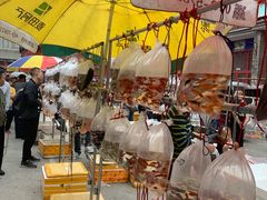 -华声天桥民俗文化园