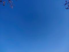 -河南财经政法大学(郑东校区)