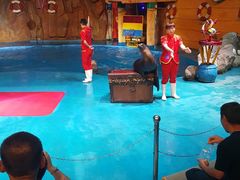 -烟台海昌鲸鲨海洋公园