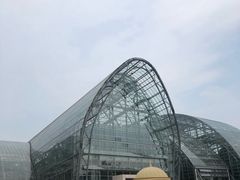 -南山植物园