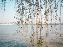 -无锡蠡湖国家湿地公园-蠡园