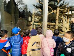 -蓝莓果幼儿园(通州梨园店)