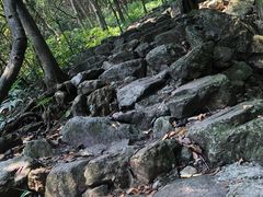 -牛鱼嘴原始生态风景区