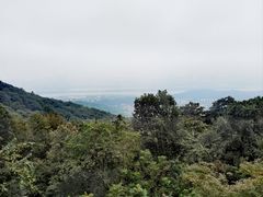 -岳麓山风景名胜区