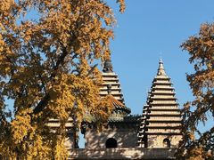 -北京石刻艺术博物馆(五塔寺)
