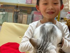 -1013 PET SHOP精品宠物商店(丁香店)
