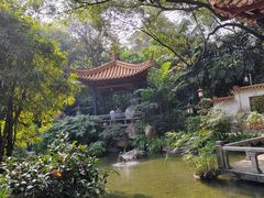 -广州兰圃