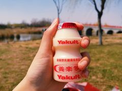 -鉴湖国家城市湿地公园