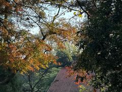 -莫干山风景区