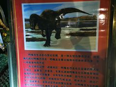-诸城市恐龙博物馆