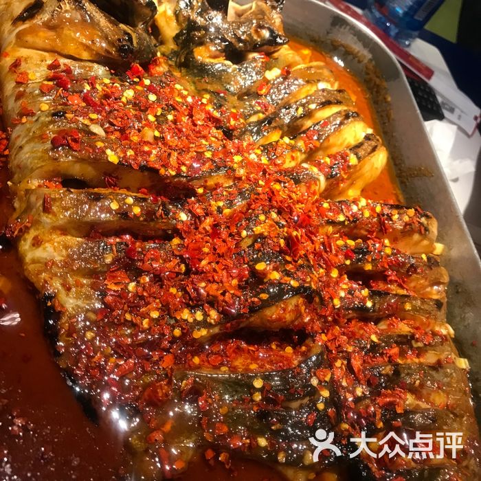鱼酷活鱼现烤油泼香辣清江鱼图片-北京烤鱼-大众点评网