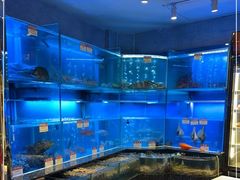 -协成海鲜火锅(海洋花园店)