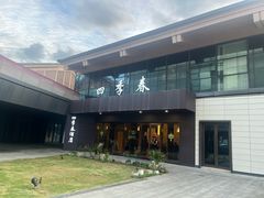 -四季春