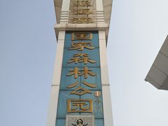 -日照海滨国家森林公园
