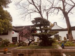 -上海醉白池公园