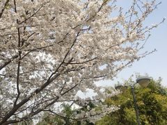 -苏州大学(天赐庄校区)